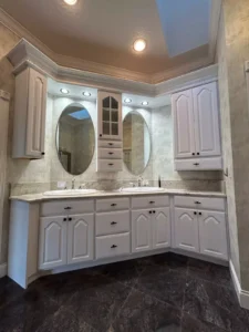 portifolio spray house paint